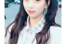 傻瓜家族网红,网络红人的欢乐日常